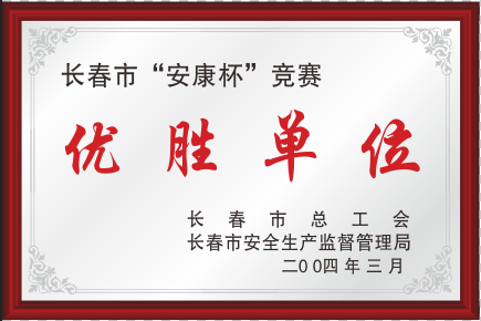 2004L(chng)а(yu)نλ